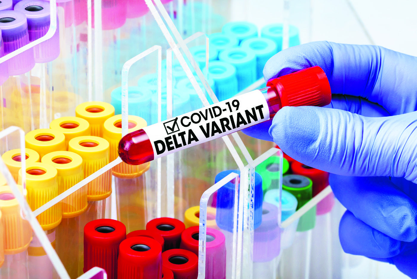 Μετάλλαξη Δέλτα