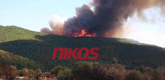 Φωτιά Βίλια