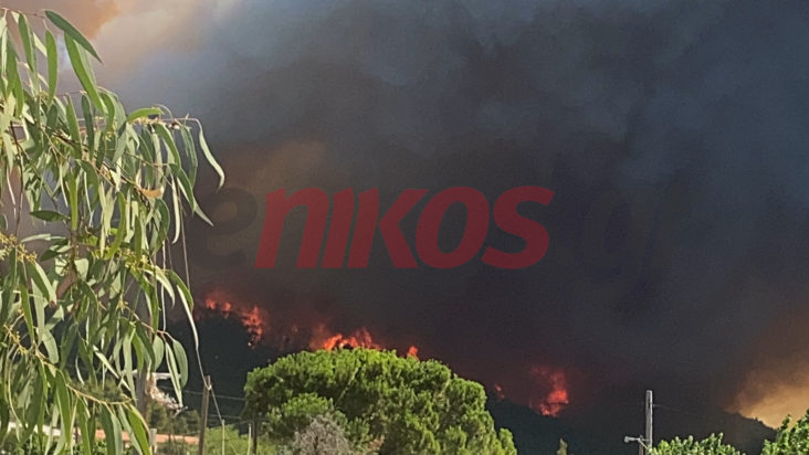 ΦΩΤΙΑ ΣΤΑ ΒΙΛΙΑ