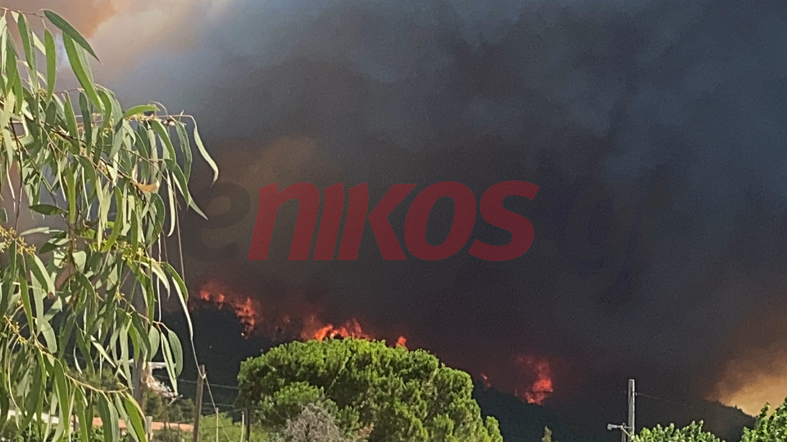 ΦΩΤΙΑ ΣΤΑ ΒΙΛΙΑ