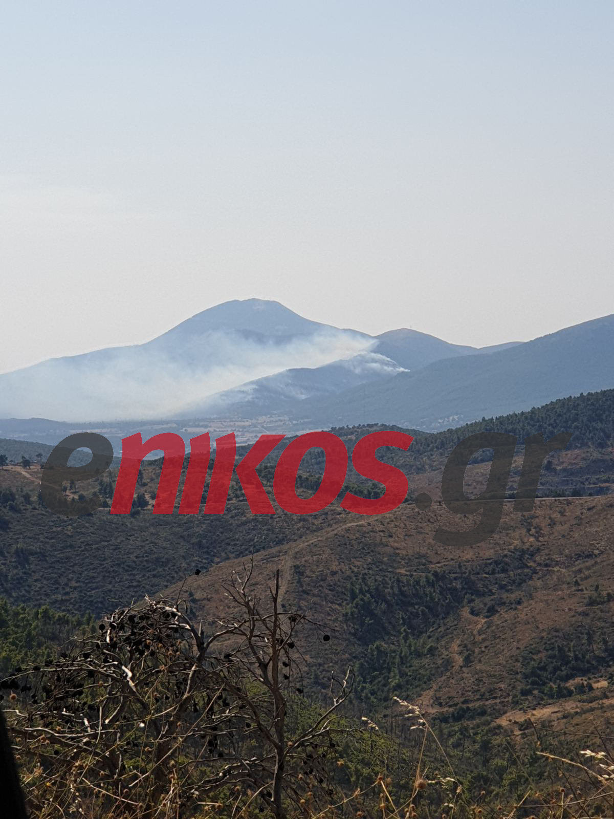 φωτιά Βίλια αναγνώστης