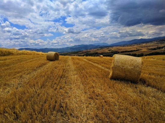 χωράφι δυστυχημα ξάνθη