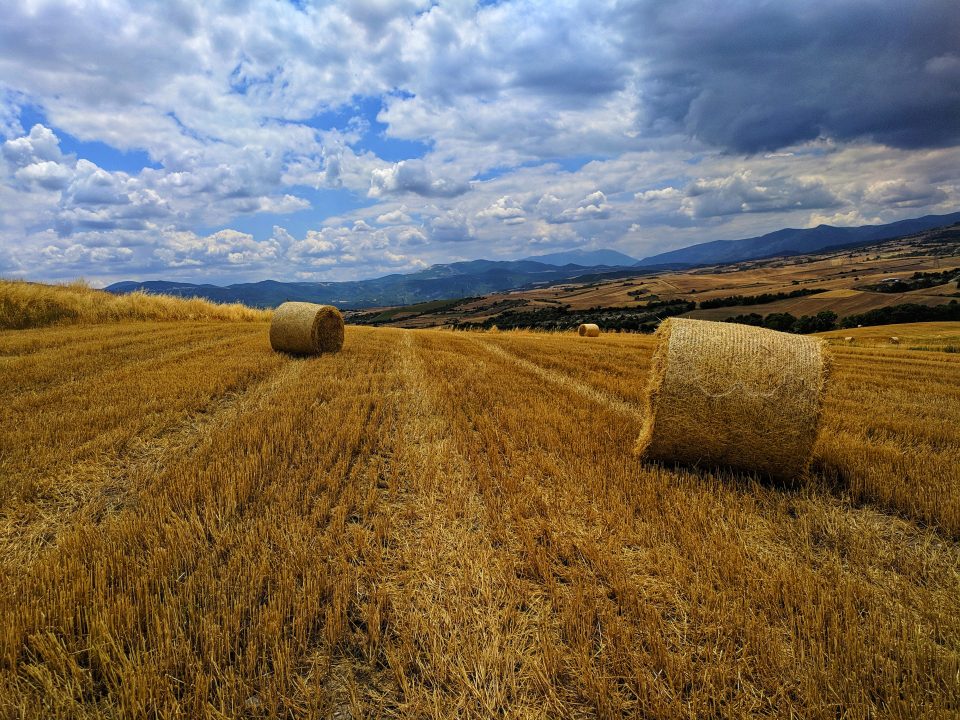 χωράφι δυστυχημα ξάνθη