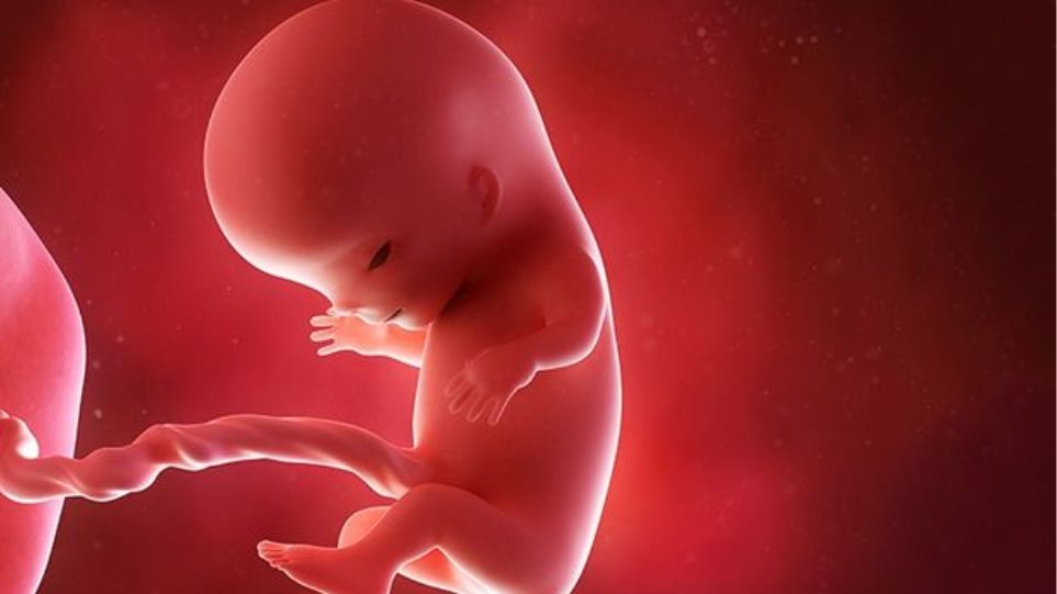 Απόφαση “σταθμός” στο Μεξικό: Η ποινικοποίηση της άμβλωσης είναι αντισυνταγματική