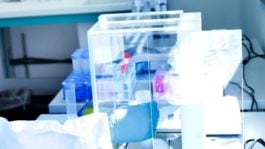 Μονοκλωνικά αντισώματα Covid-19