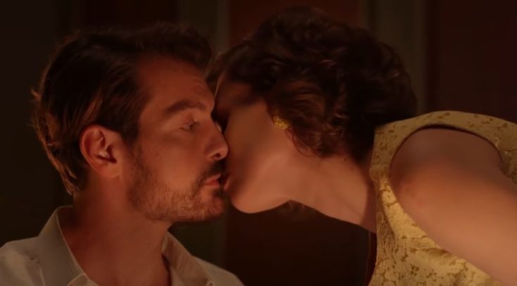 Άγριες Μέλισσες