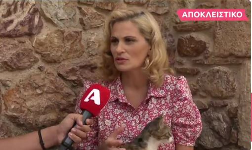 Άγριες Μέλισσες