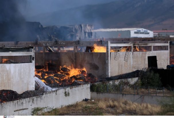 Ασπρόπυργος-φωτιά