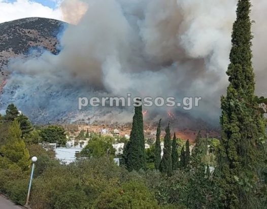 Φωτιά στο Δίστομο
