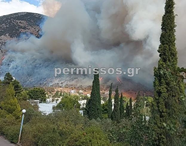 Φωτιά στο Δίστομο