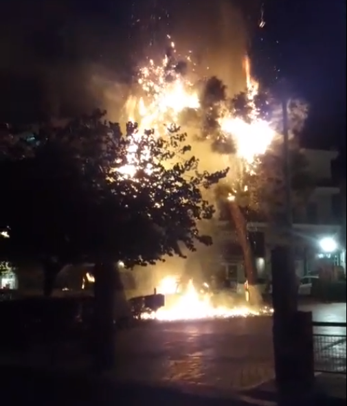 Μεταμόρφωση: Φωτιά σε αυτοκίνητο επεκτάθηκε σε δέντρα – ΒΙΝΤΕΟ αναγνώστη