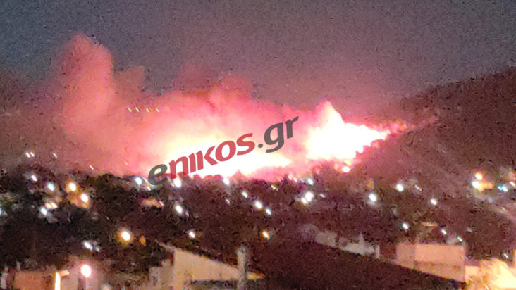 Φωτιά Νέα Μάκρη