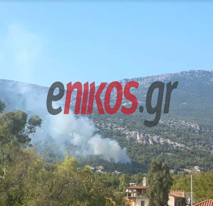 φωτιά στην πάρνηθα
