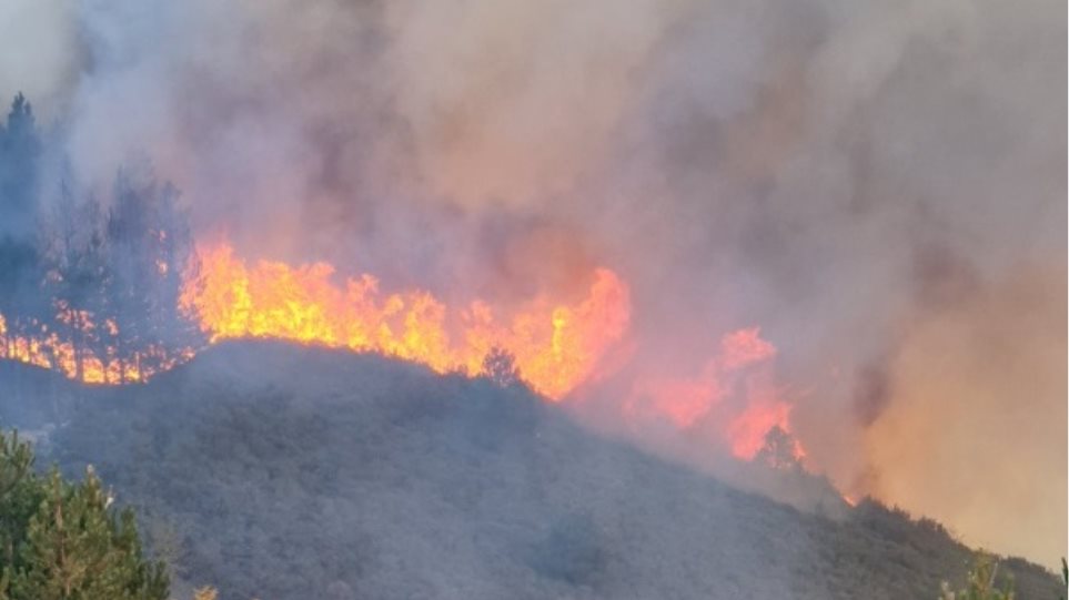 φωτιά θεσπρωτία