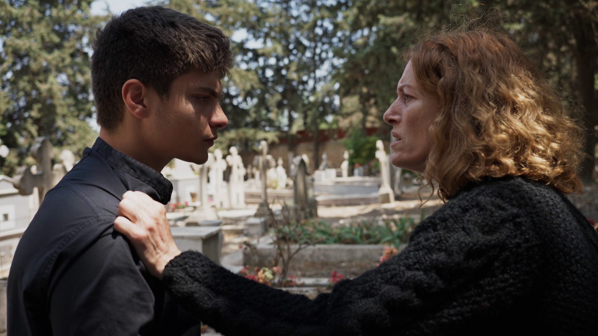 Η Γη της Ελιάς