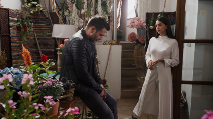 Γη της Ελιάς