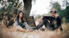 Η Γη της Ελιάς