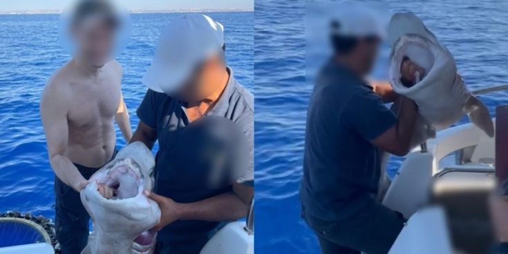 Κύπρος-Καρχαρίας