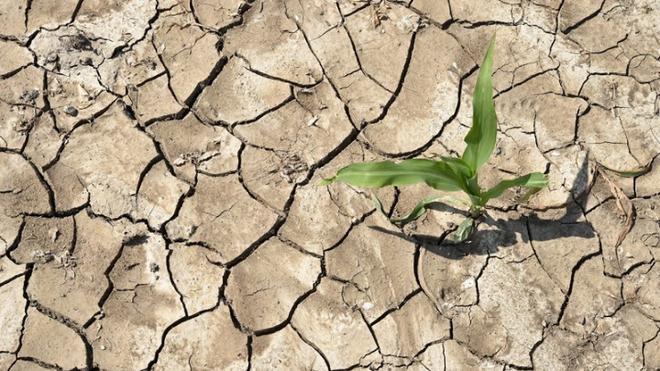 κλιματική αλλαγή