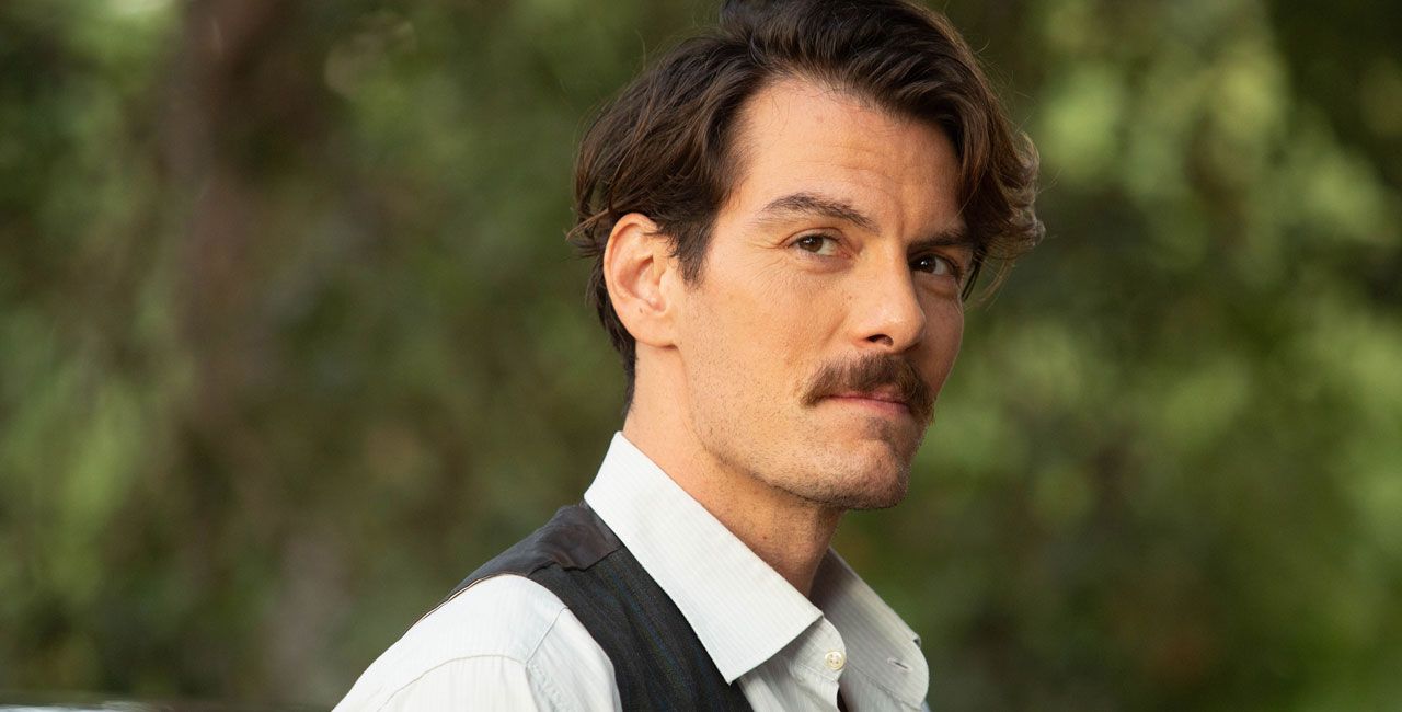 Άγριες Μέλισσες