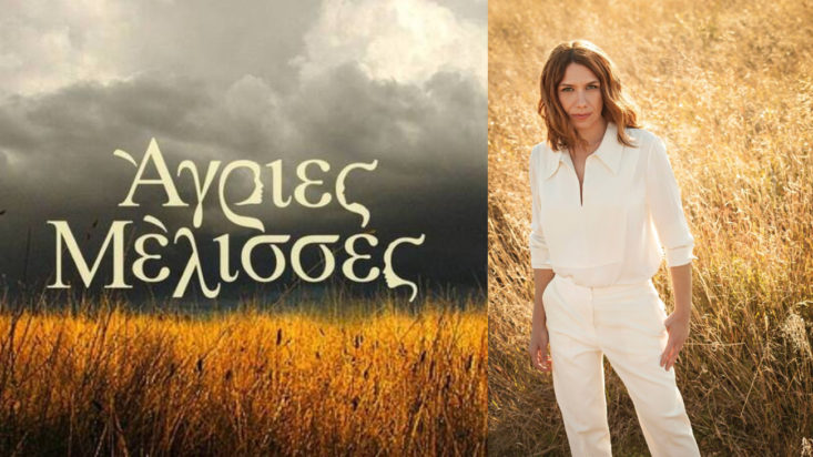 Άγριες Μέλισσες