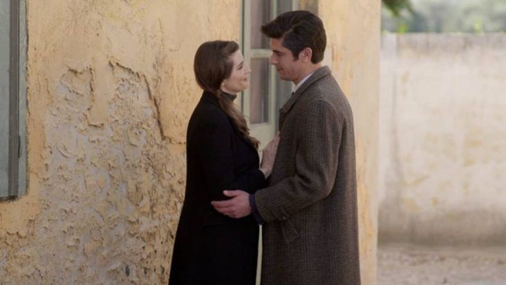 Άγριες Μέλισσες