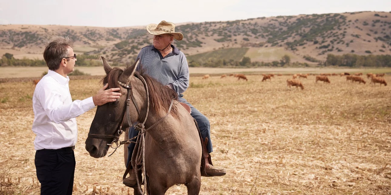 Δαμάσι - Ντάλτον