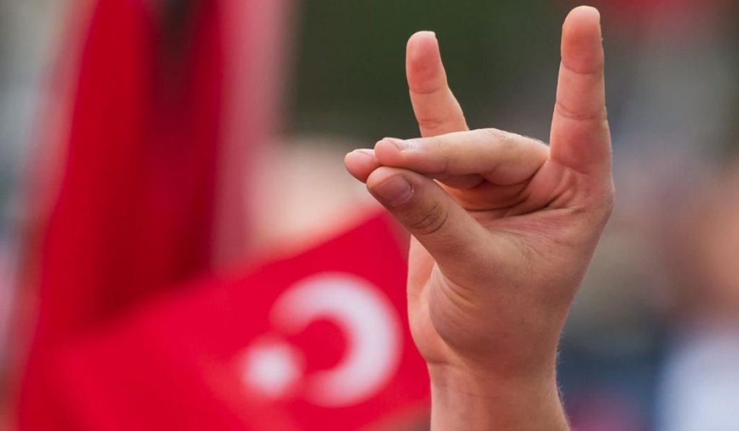 Τροπολογία-χαστούκι στην Τουρκία: Ελληνοαμερικανίδα βουλευτής ζητεί να χαρακτηριστούν οι “Γκρίζοι Λύκοι” τρομοκρατική οργάνωση