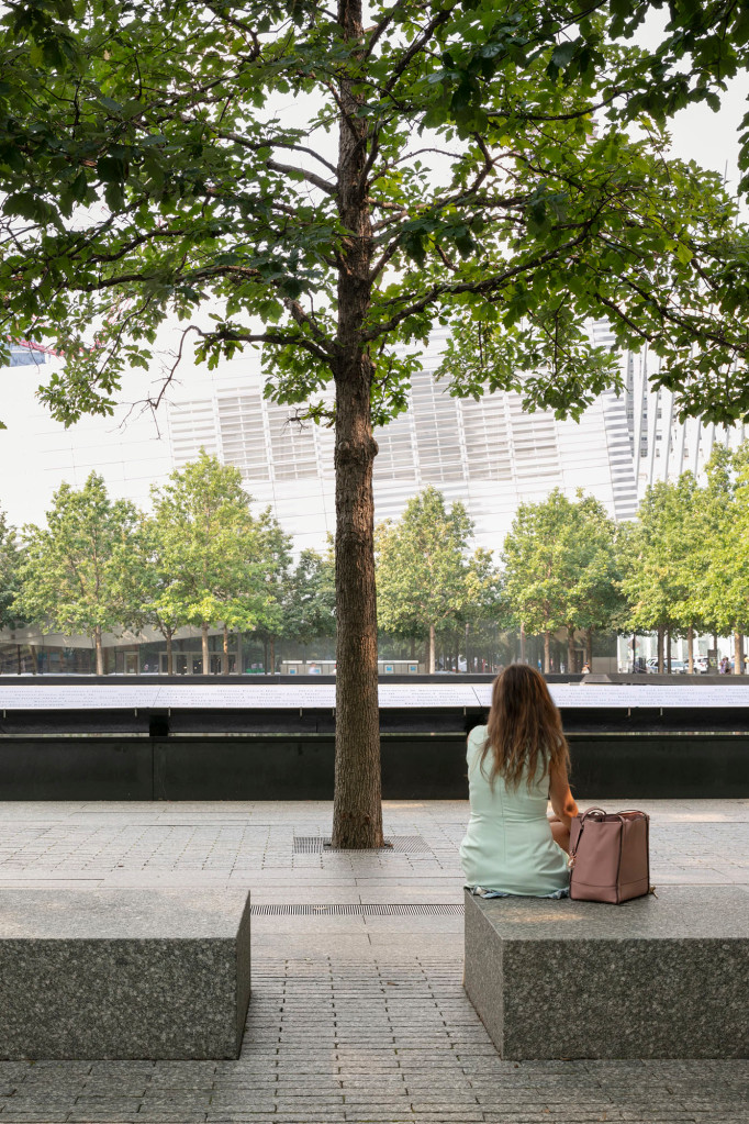 11η Σεπτεμβρίου - χήρα