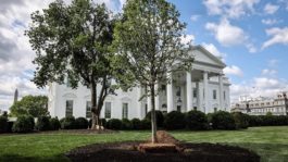 Λευκός Οίκος