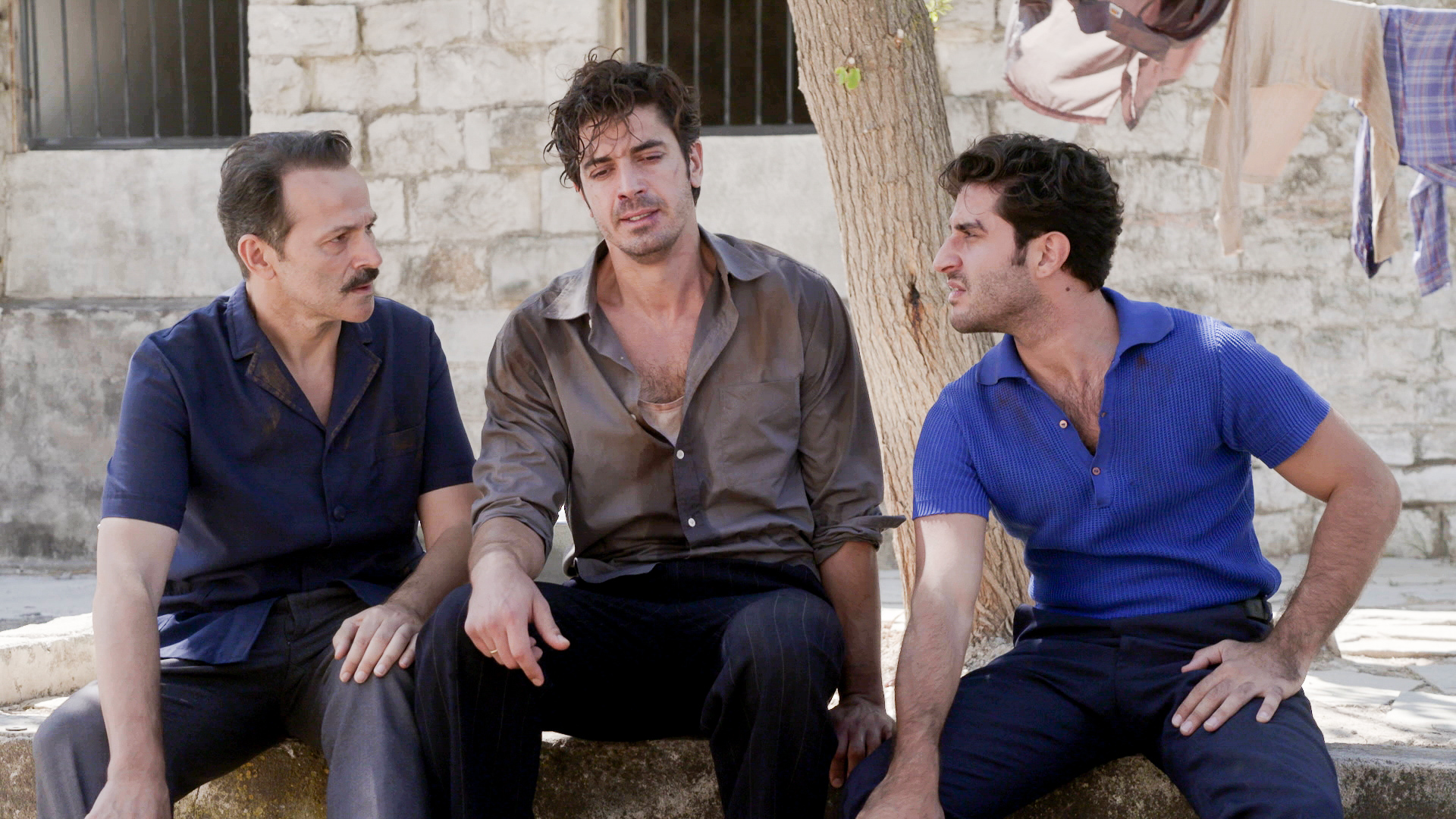 Άγριες Μέλισσες