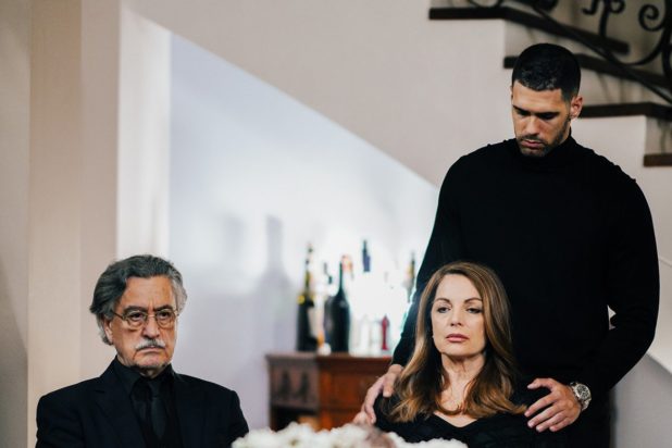 Η Γη της Ελιάς