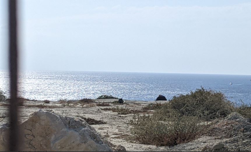 Ιεράπετρα-δολοφονία