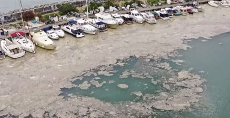 βλέννα - Μαρμαράς