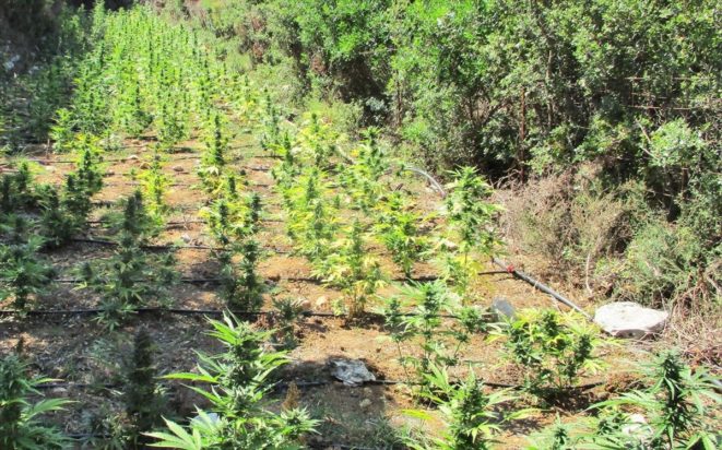 Πέλλα-Χασίς