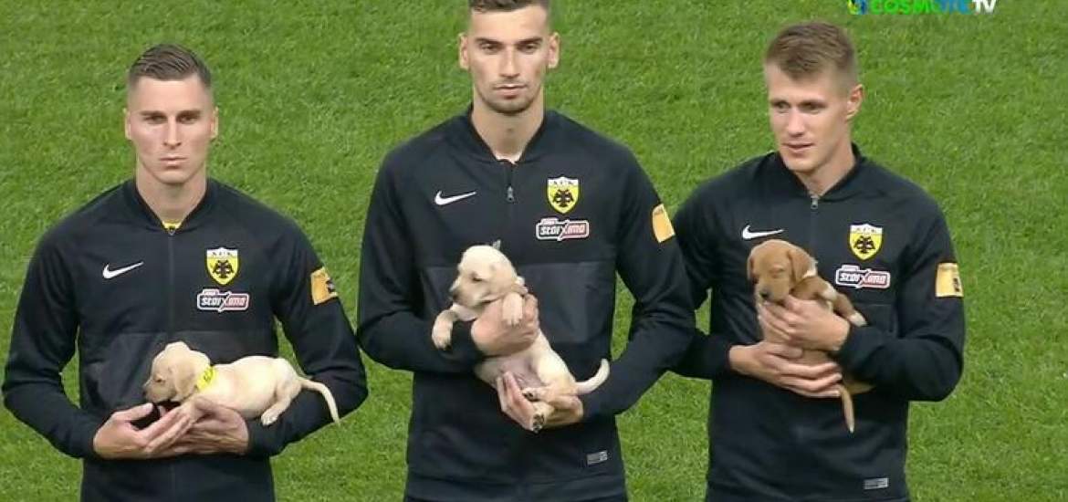 ΑΕΚ-Κουτάβια