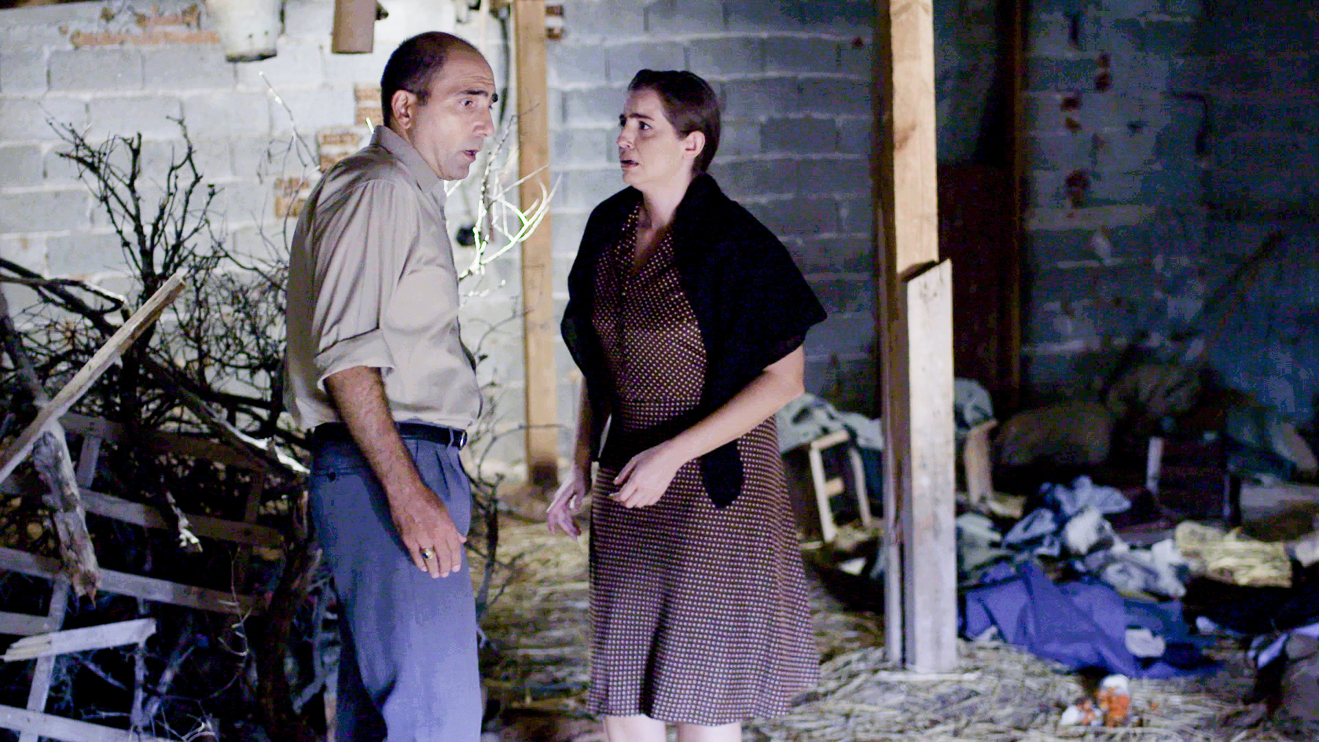 Άγριες Μέλισσες