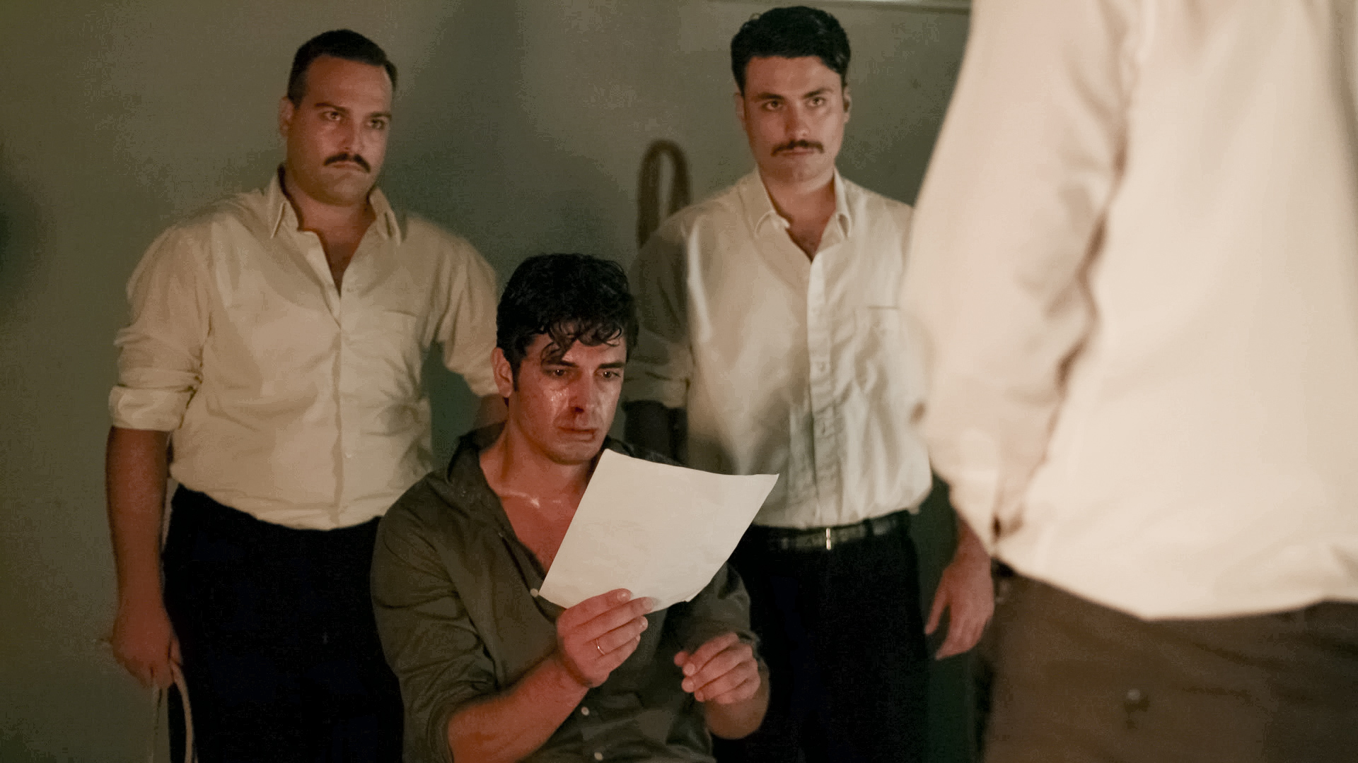 Άγριες Μέλισσες