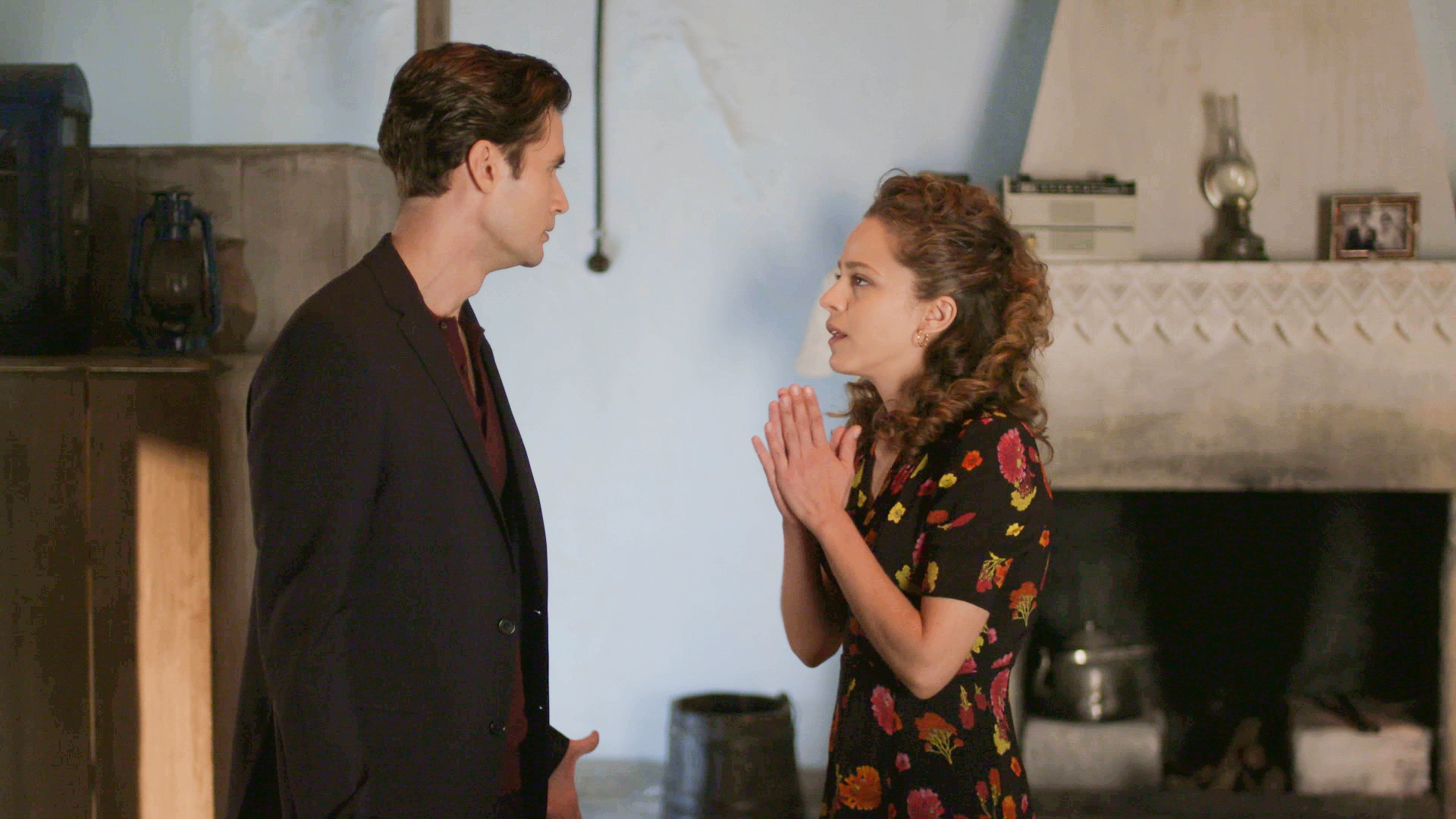 Άγριες Μέλισσες