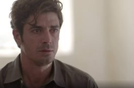 Άγριες Μέλισσες