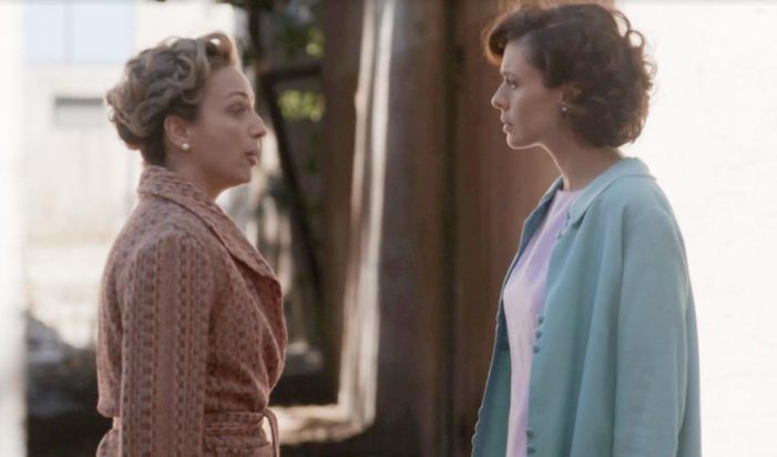 Άγριες Μέλισσες