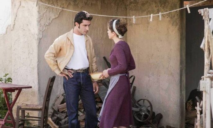 Άγριες Μέλισσες