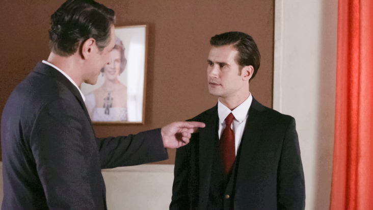 Άγριες Μέλισσες