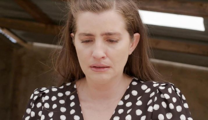 Άγριες Μέλισσες