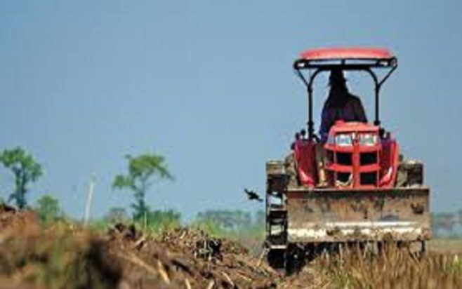 αγρότης - γεωργός