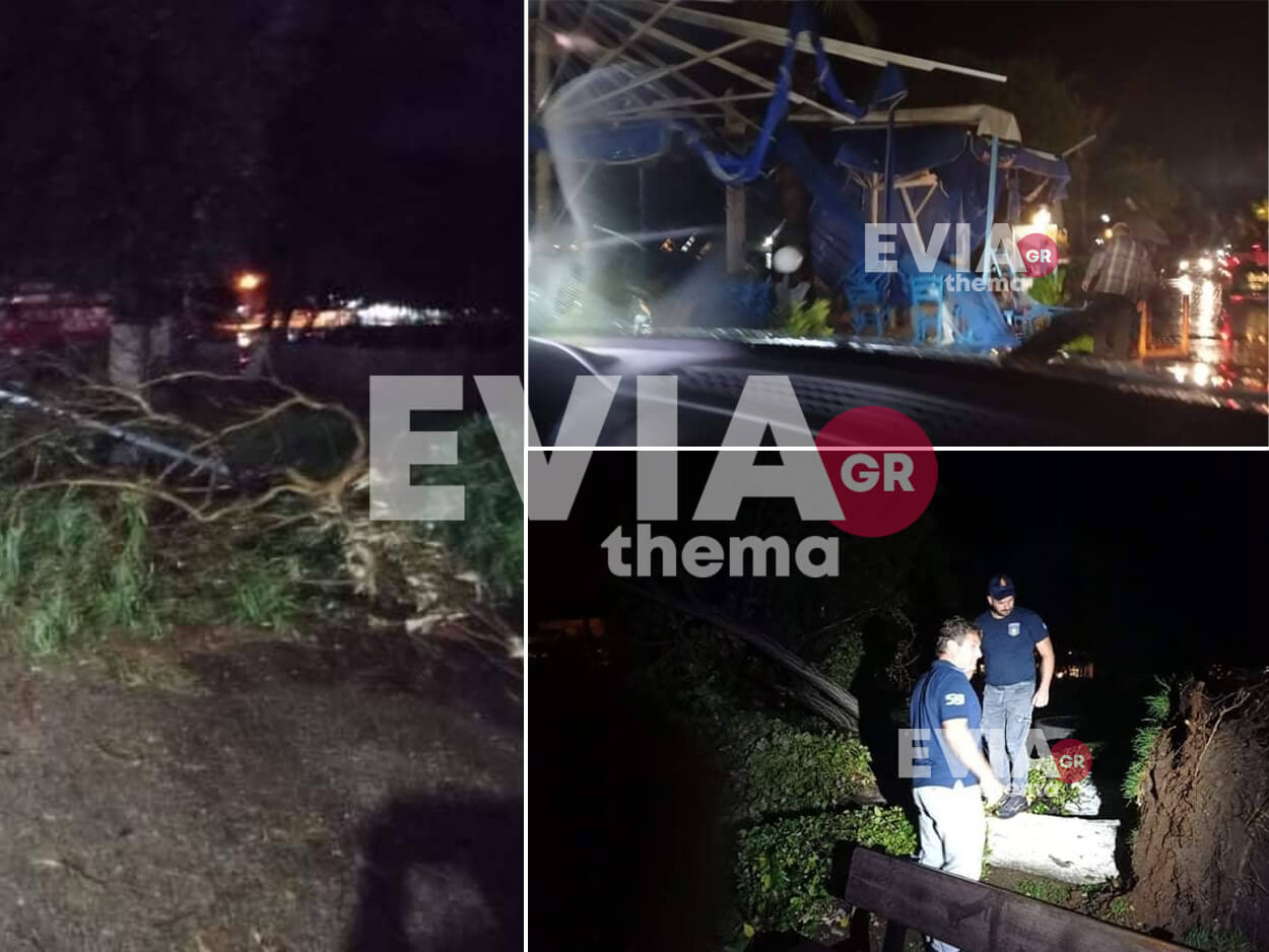 Κακοκαιρία “Αθηνά” – Ερέτρια: Ζημιές σε καταστήματα, κομμένα καλώδια και δέντρα