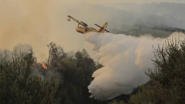 φωτιά αχαια