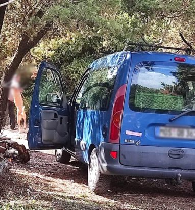 Μεσσηνία-Γερμανοί