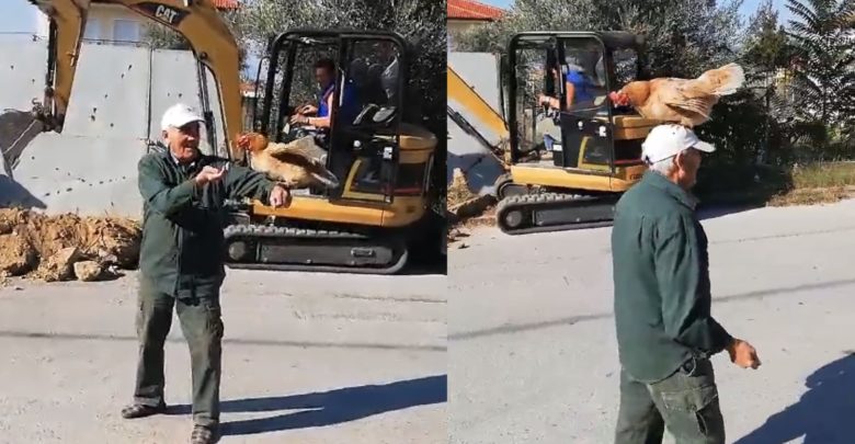 Λάρισα: Ο γητευτής των… πουλερικών