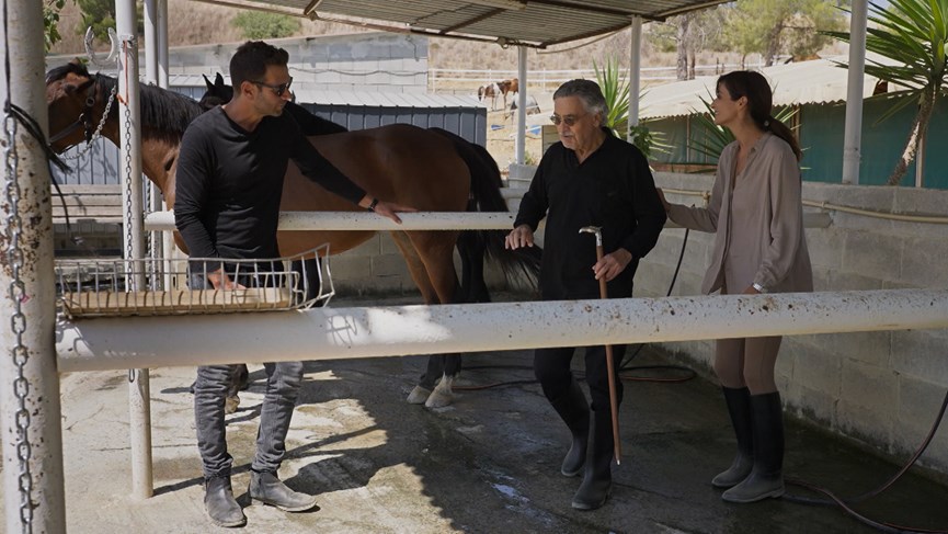 Η Γη της Ελιάς